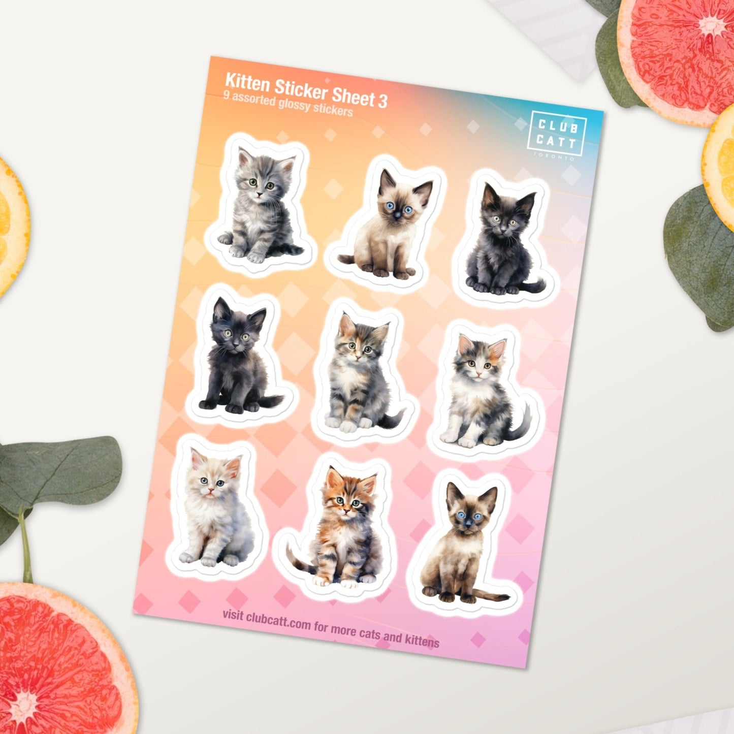 Kitten Sticker Sheet 3