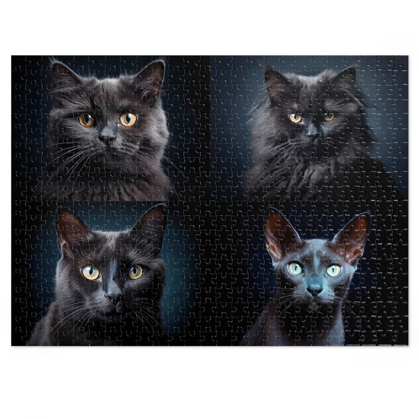 4 Black Cats • Jigsaw Puzzle